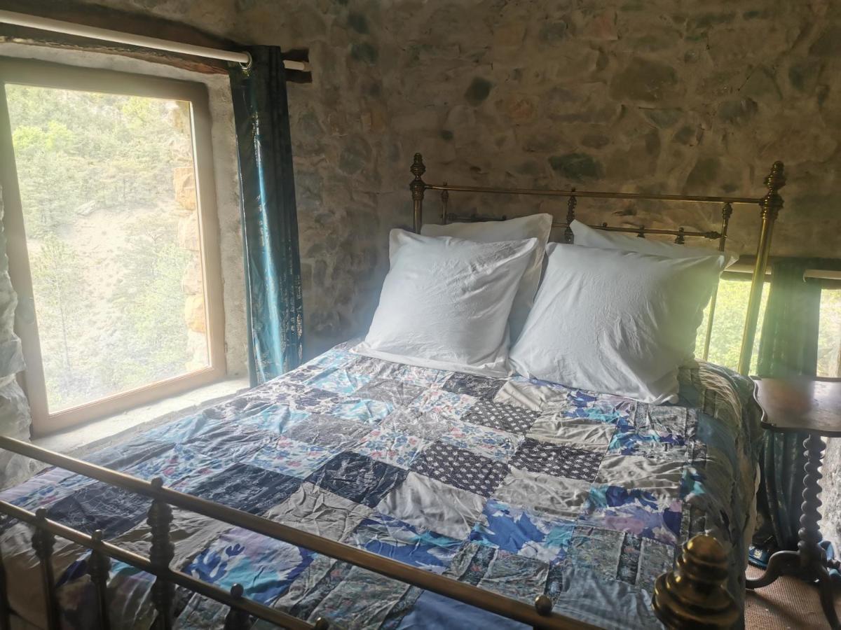 Saint-André-de-Rosans La Ferme De La Condamine Bed & Breakfast エクステリア 写真