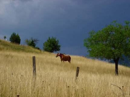 Saint-André-de-Rosans La Ferme De La Condamine Bed & Breakfast エクステリア 写真