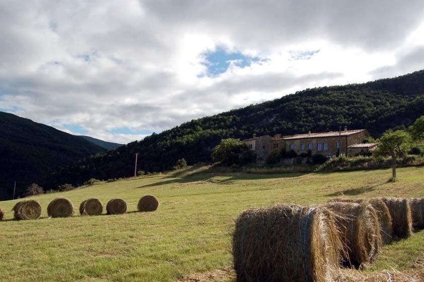 Saint-André-de-Rosans La Ferme De La Condamine Bed & Breakfast エクステリア 写真