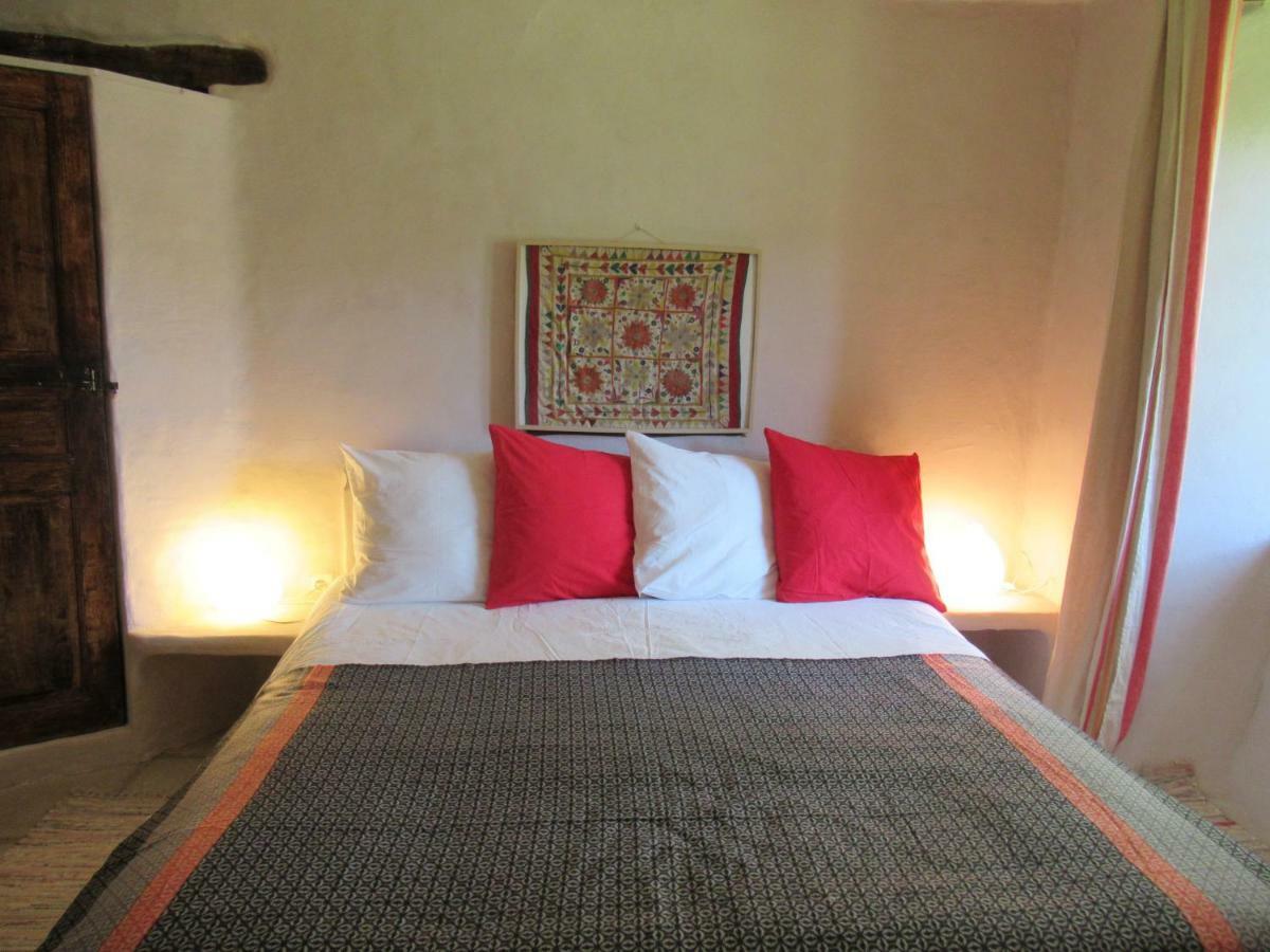 Saint-André-de-Rosans La Ferme De La Condamine Bed & Breakfast エクステリア 写真