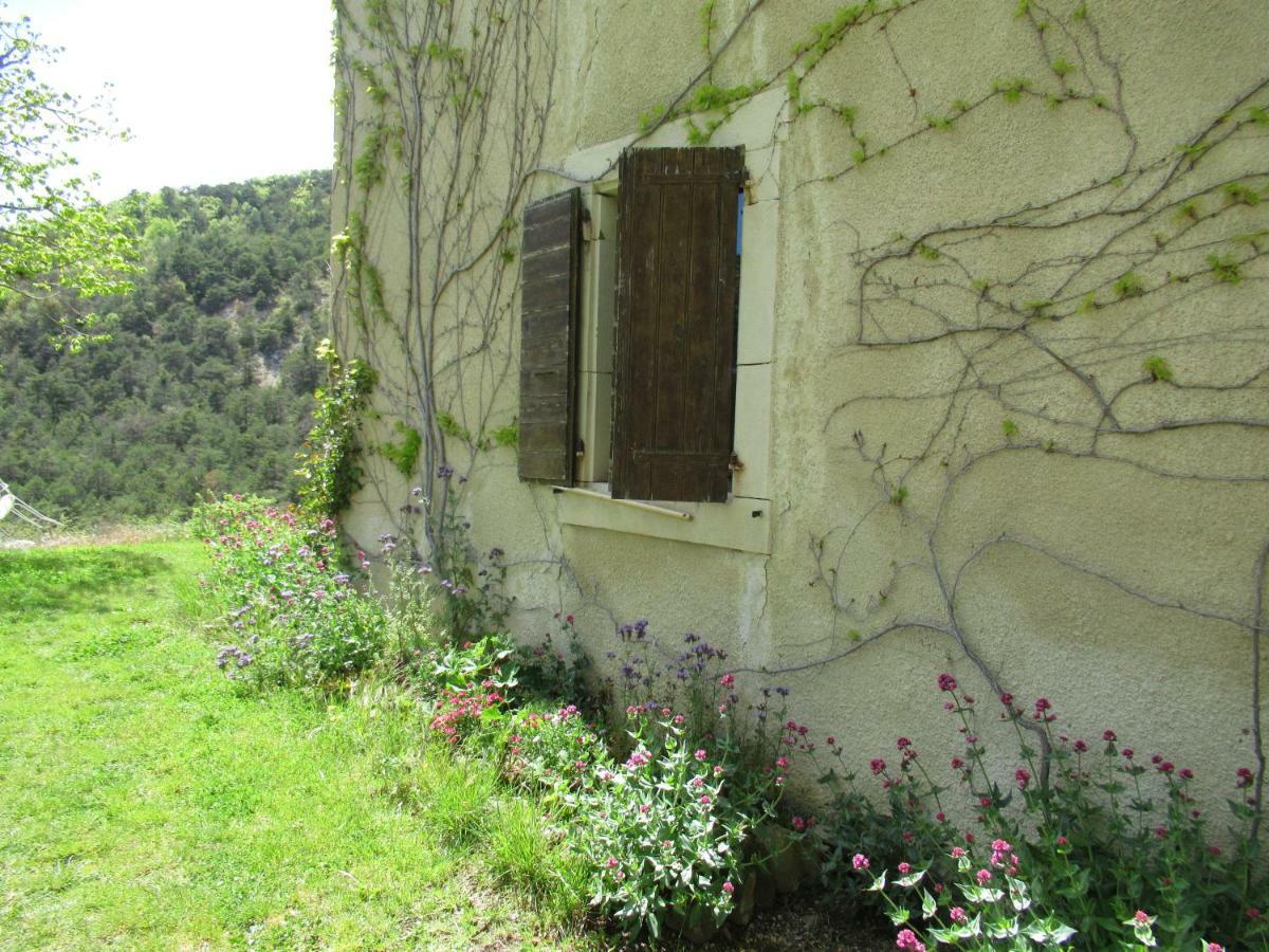 Saint-André-de-Rosans La Ferme De La Condamine Bed & Breakfast エクステリア 写真