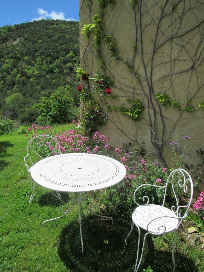 Saint-André-de-Rosans La Ferme De La Condamine Bed & Breakfast エクステリア 写真