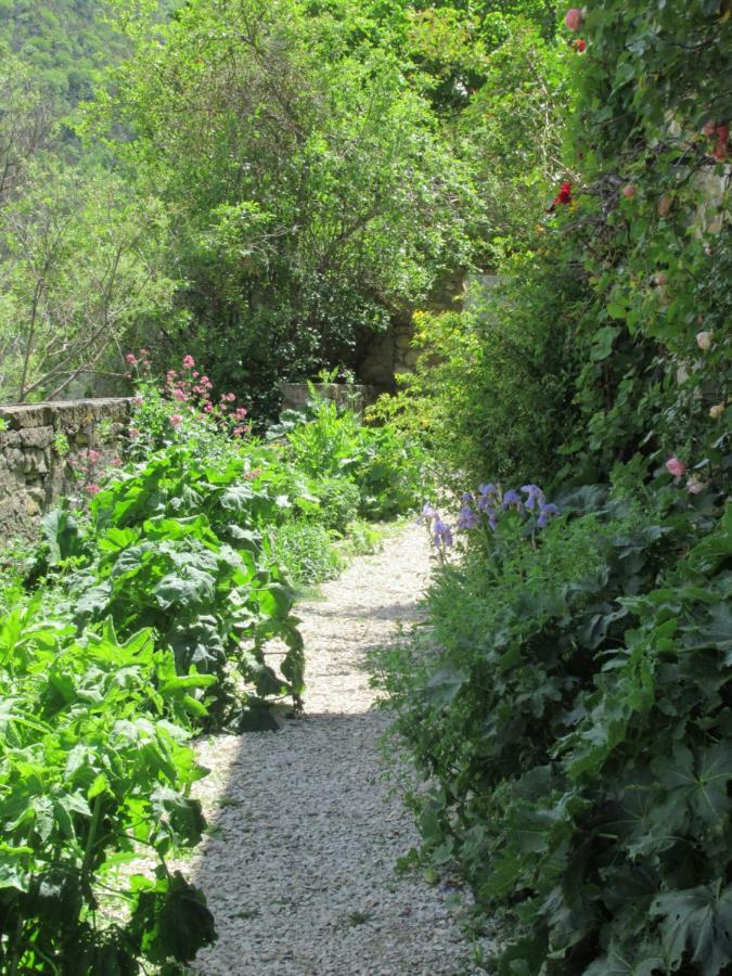 Saint-André-de-Rosans La Ferme De La Condamine Bed & Breakfast エクステリア 写真
